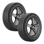Paquete de 2 Llantas Bridgestone Turanza LS100 205/55R17 91H